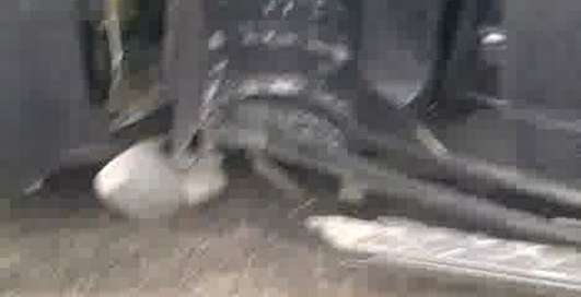 В "гармошку" Nissan Pathfinder