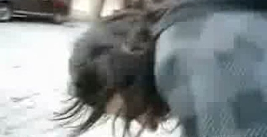 Лишился потомства?