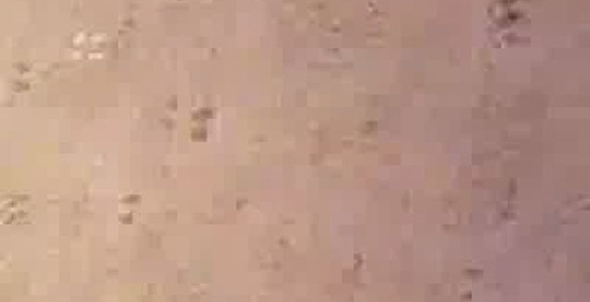 Странное и опасное хобби