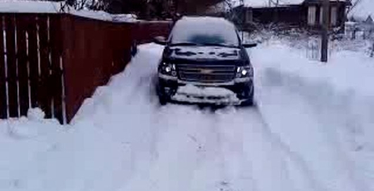 ПТаха говорит "бу!"