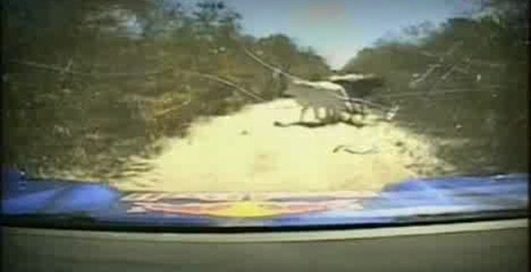 Дакар 2010. Пролог