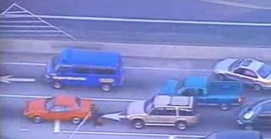 Двойной угон - парень переиграл в GTA