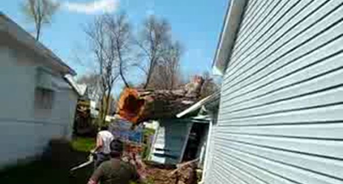 И профессионалы ошибаются