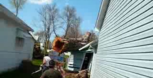 И профессионалы ошибаются