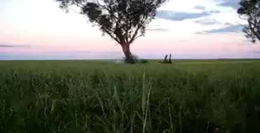 И топор не нужен