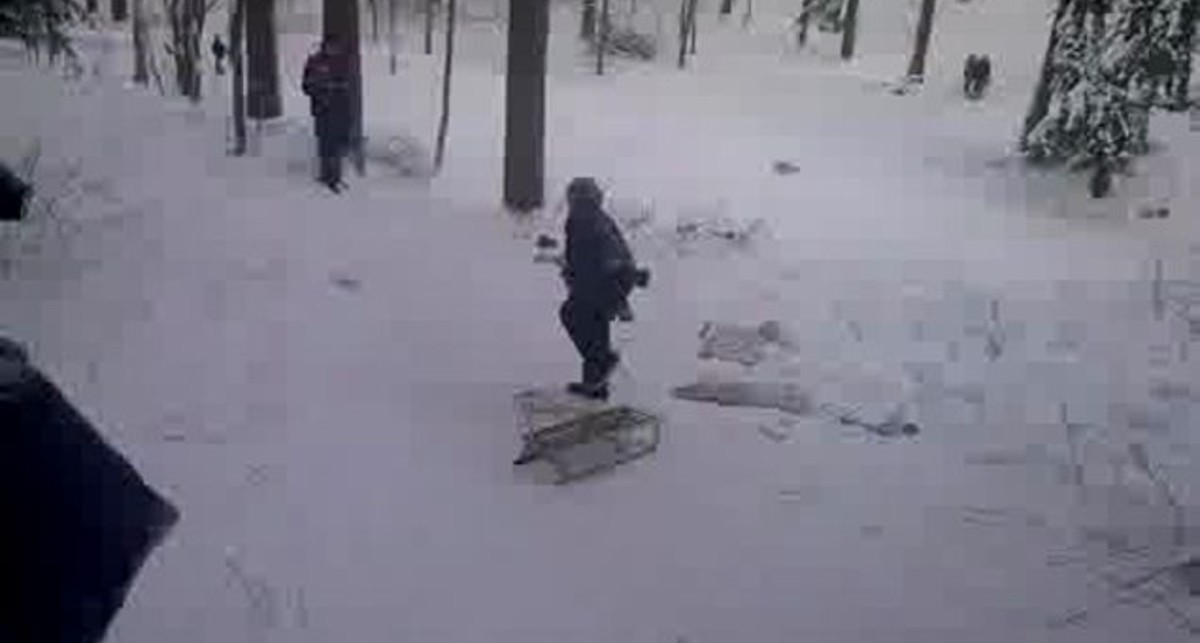 Жесть на санках