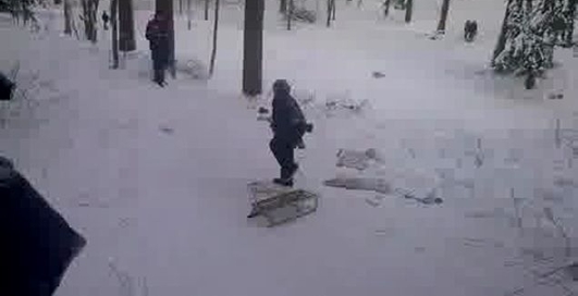 Жесть на санках