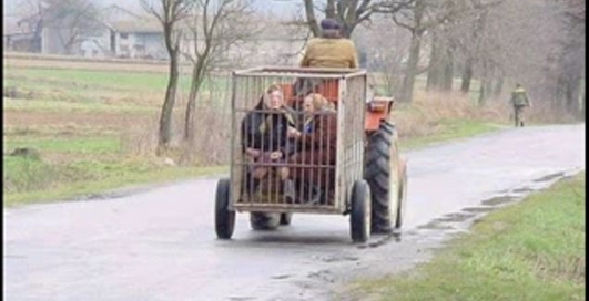 Авто курьезы