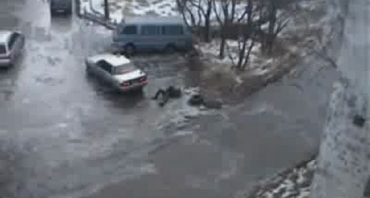 Ветрянно, местами гололёд... В общем - погода шутит