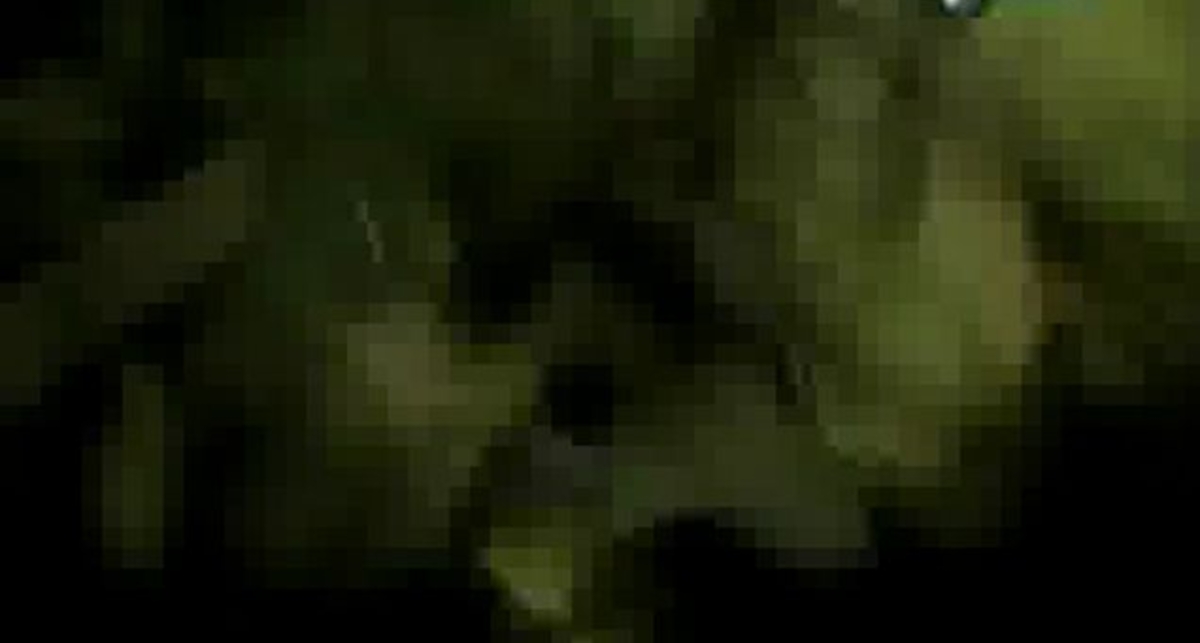 Очевидцы катастроф (Discovery Chanel)