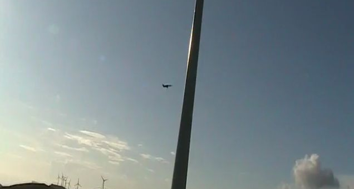 Случайная гибель орла в воздухе