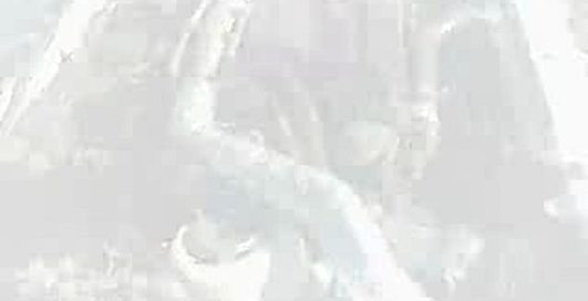 Supra 300 - one day supra