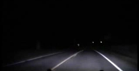 Полицейская машина против оленя