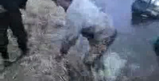 Охотничий УАЗ заехал в болото