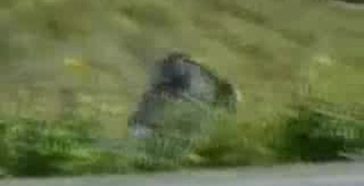 Просто супер подборка! Посмотрите!