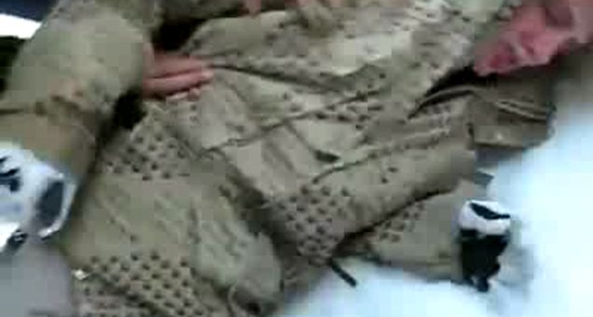 Сальто с забора не получилось