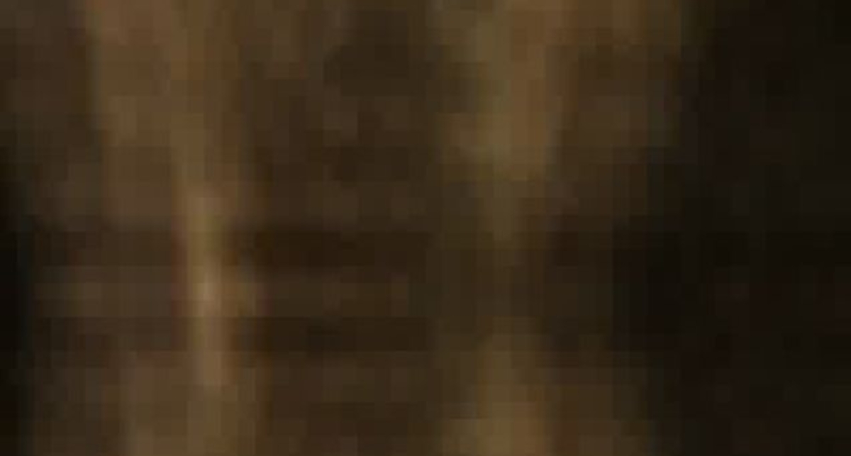 Экспедиция Трофи 2010