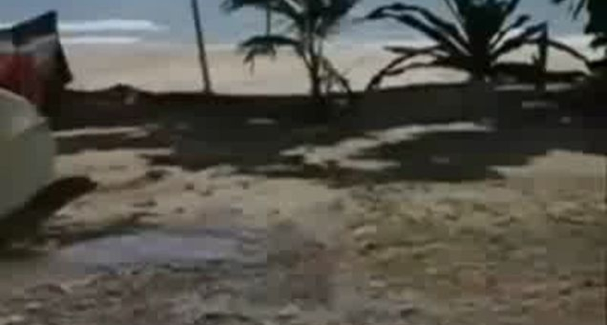 Цунами на Гаваях