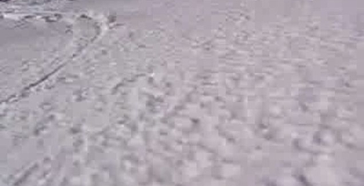 Снегоход уехал от сумасшедшего хозяина))))