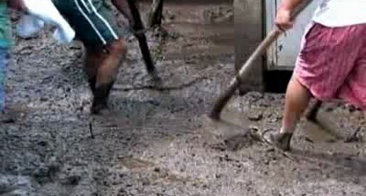 Жертвами урагана 