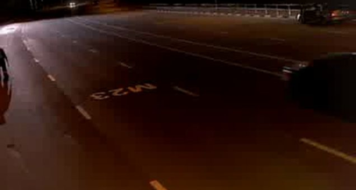 Трасса М23 Нападение волков на пост ДПС!!!