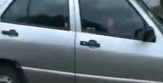 Водитель командует ДПС