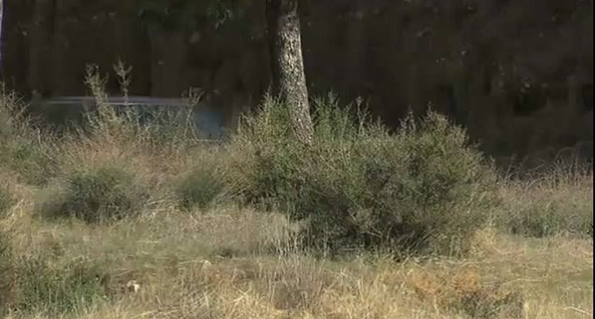 Купе BMW 6-й серии