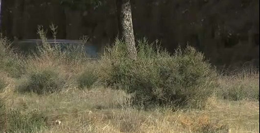 Купе BMW 6-й серии