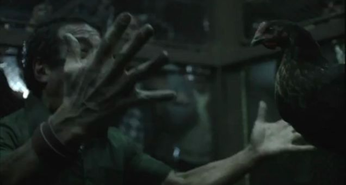 NISSAN 370Z соревнуется в гонке с мексиканской курицей