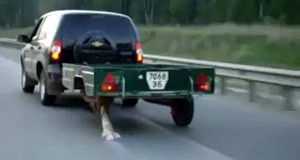 Палка вместо колеса