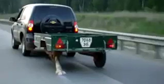 Палка вместо колеса