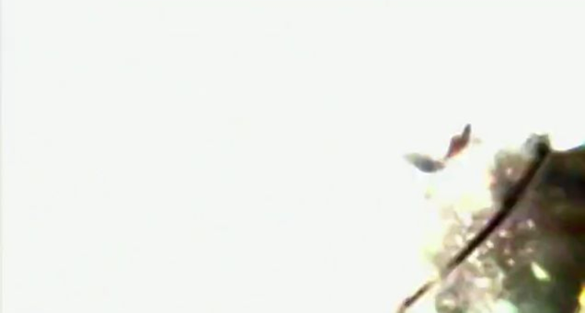 BMW M5 засняли во время испытаний