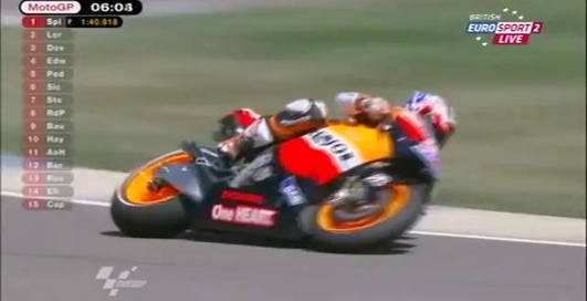 Выдра на гоночном треке