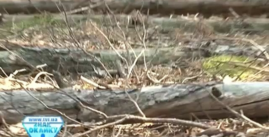 Царське полювання Януковича