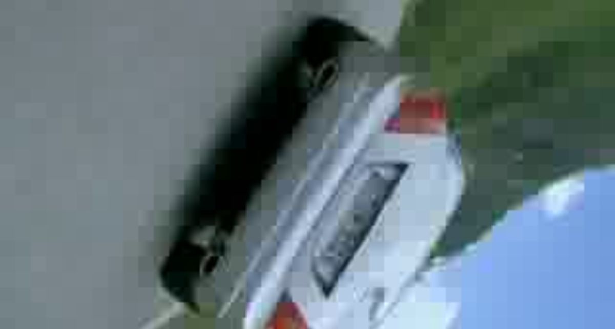 Russian Arm stabilized camera crane