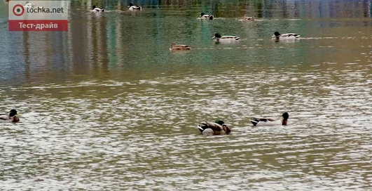 Peugeot Tepee тест-драйв - exclusive