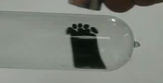 Веселая физика с магнитами)))