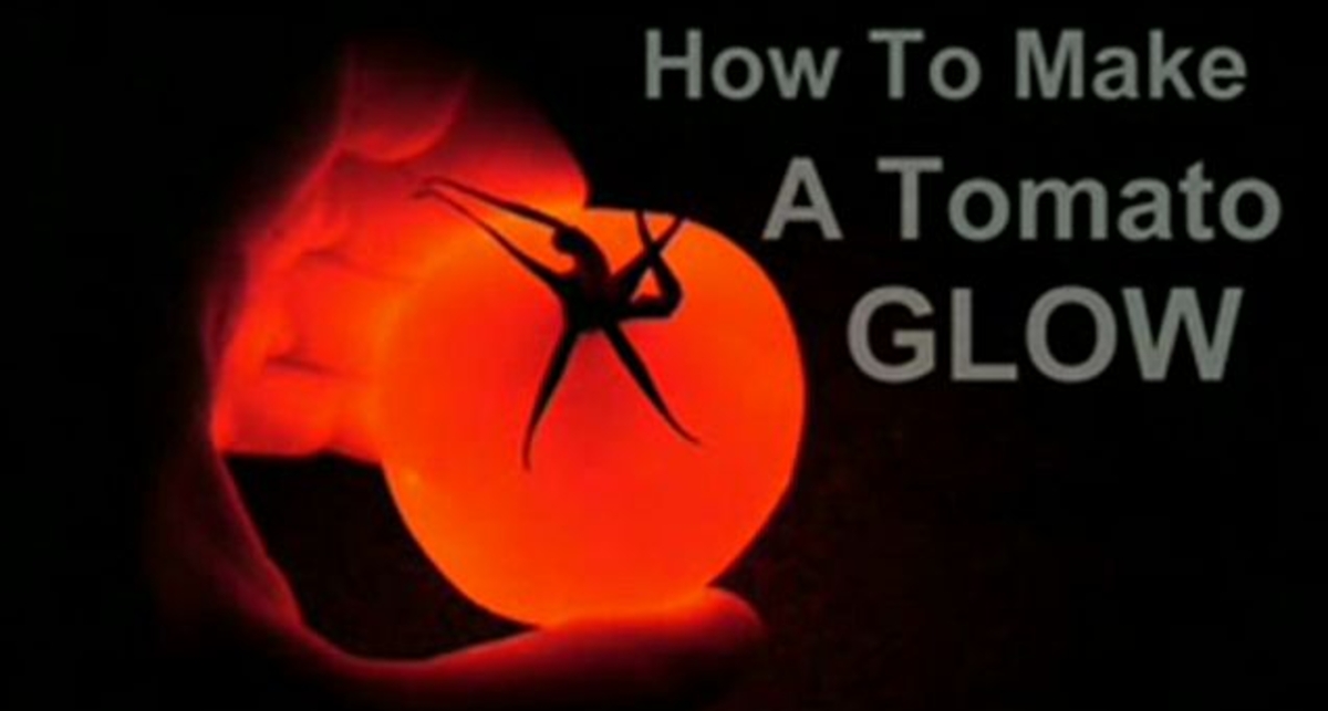 Свет из томата