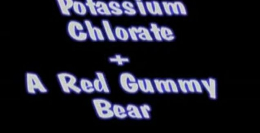 Прощай, мишка)