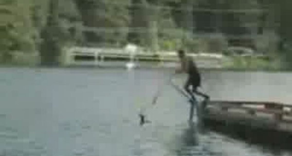 Водный велик