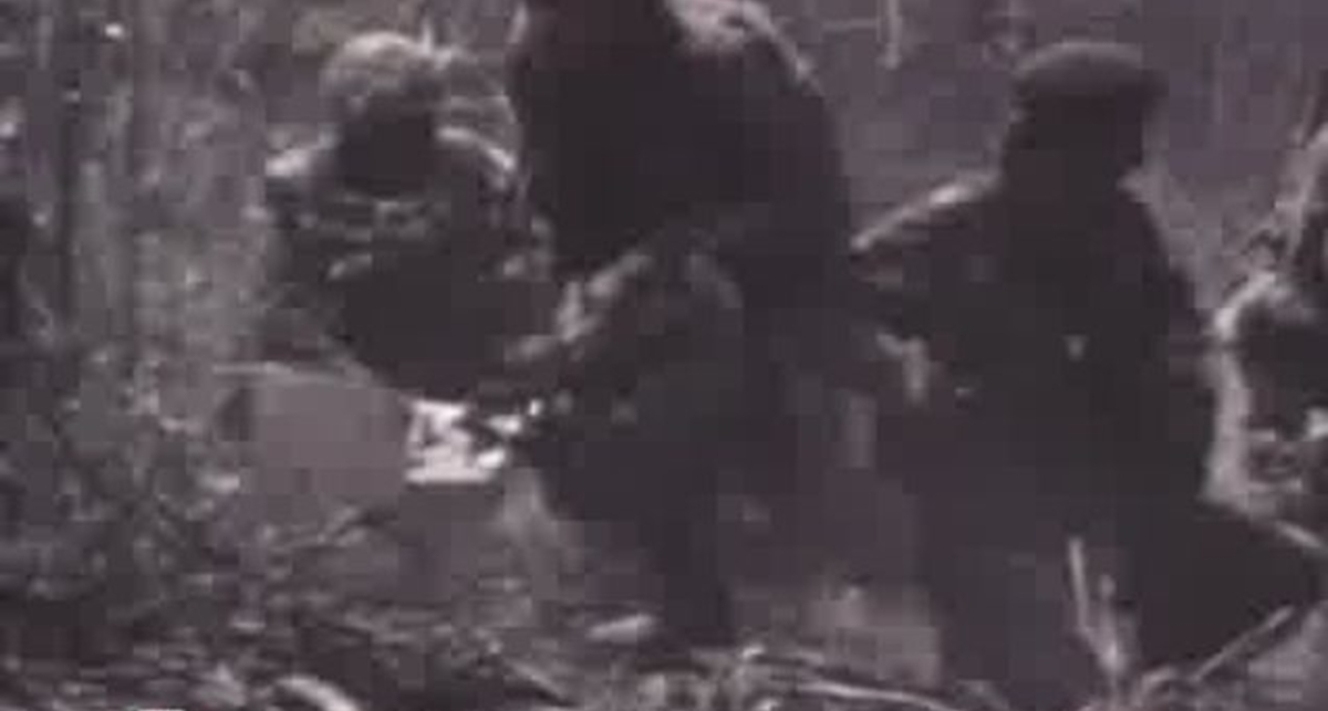 АКМ против М 16