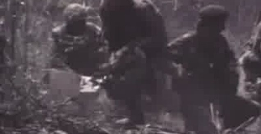 АКМ против М 16