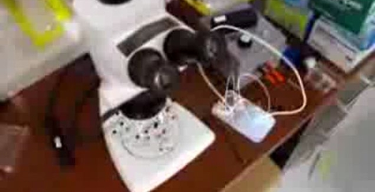 Магнитное поле