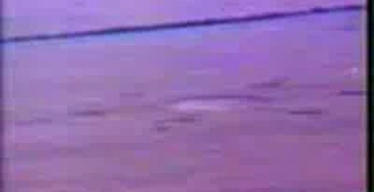 Как появляются круги на полях