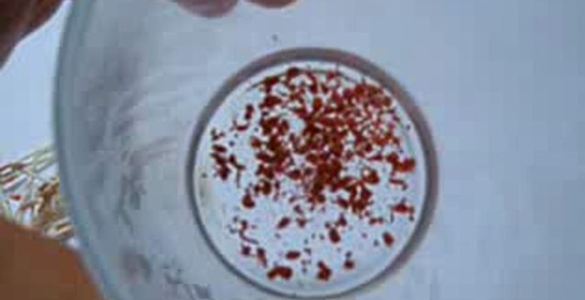 Светящийся цветок своими руками)