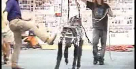 Забавная лошадка