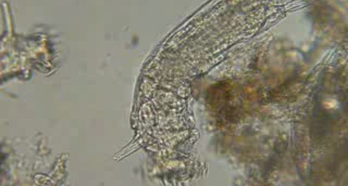 Вот такую воду мы пьем