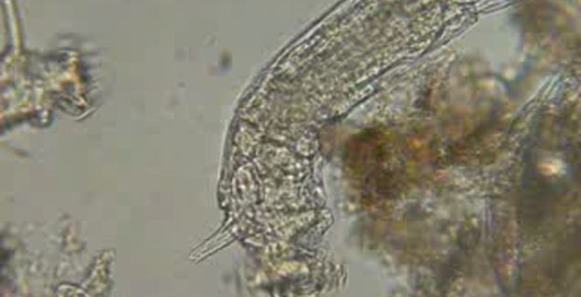 Вот такую воду мы пьем