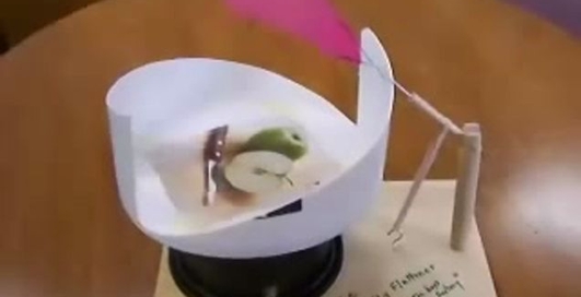 Оригинальная мухобойка