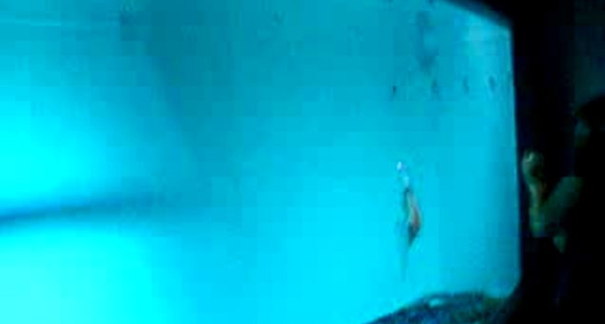 Рыба - робот